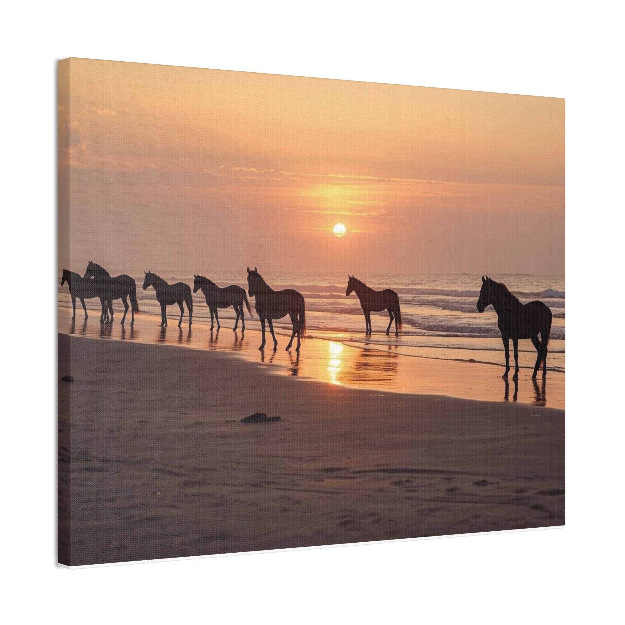 Behind the Shot: Capturing Coastal Light at Golden Hour