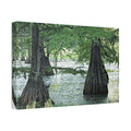 Classic Stretched Canvas Cypress Swamp