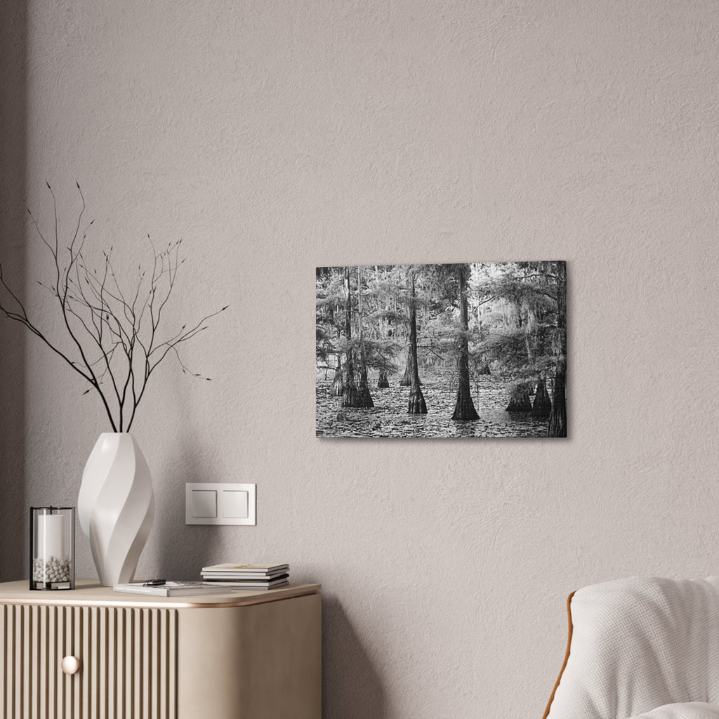 Cypress Swamp Black & White Canvas Print — Stretched Wall Art