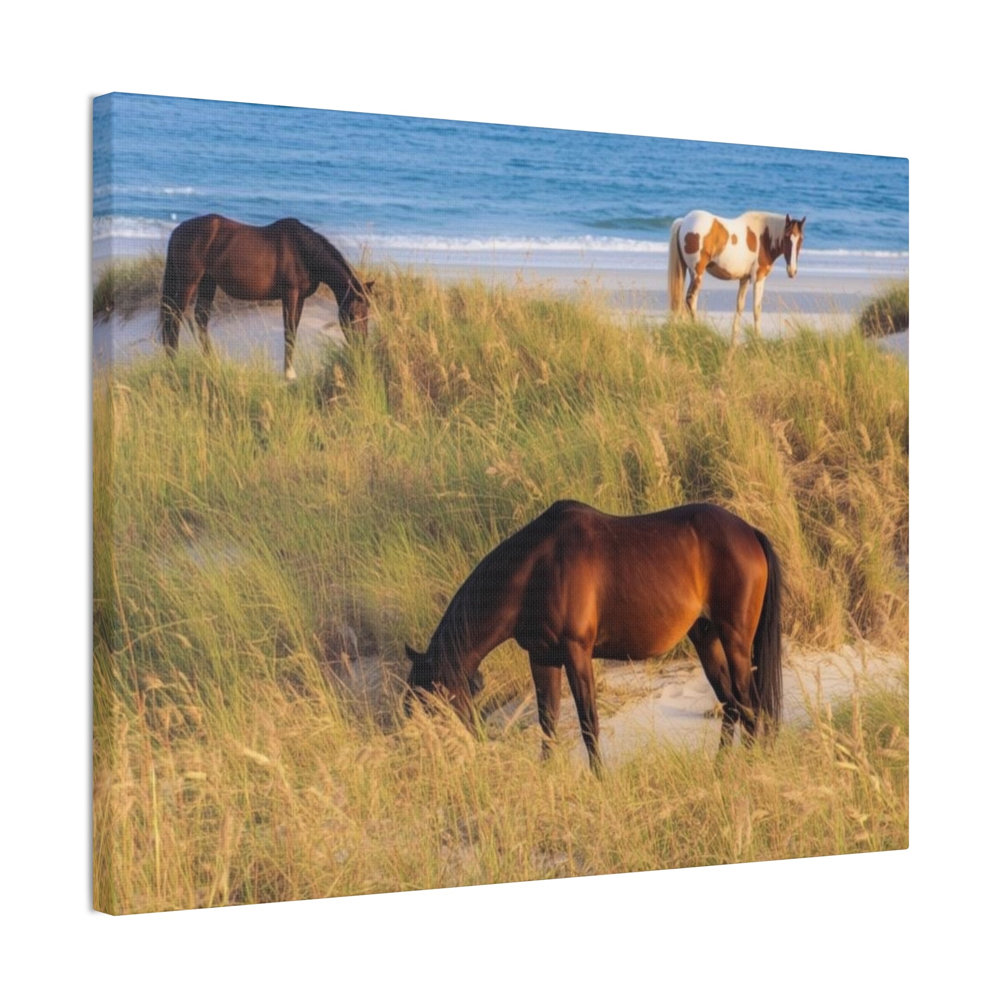 Wild Horses on Beach Canvas Print — Coastal Equine Wall Art