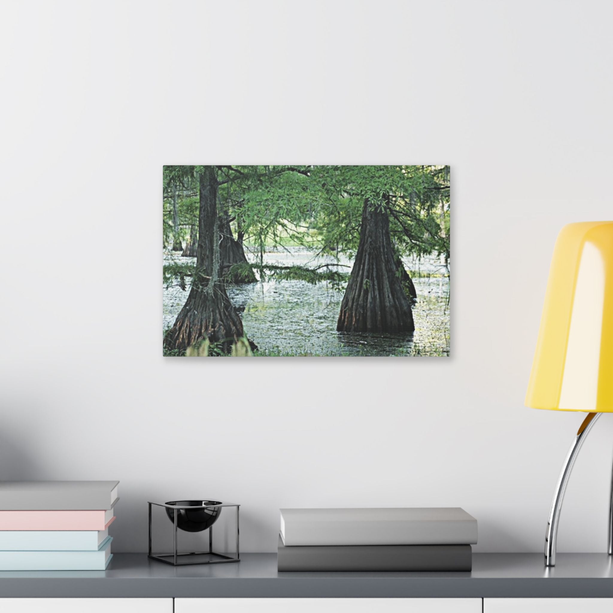 Classic Stretched Canvas Cypress Swamp