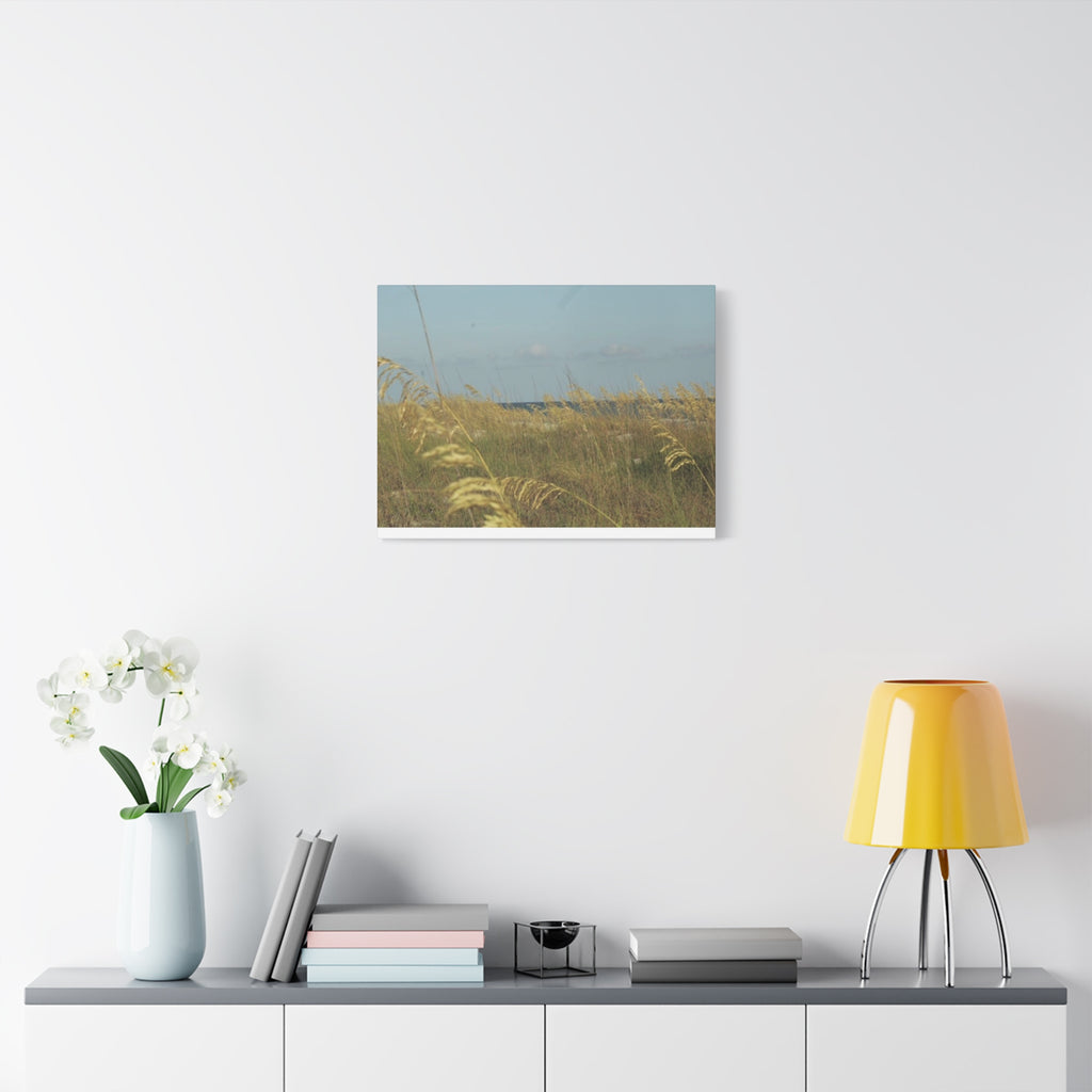 Coastal Sea Oats Canvas Wall Art – Beach Landscape Matte Stretched Canvas