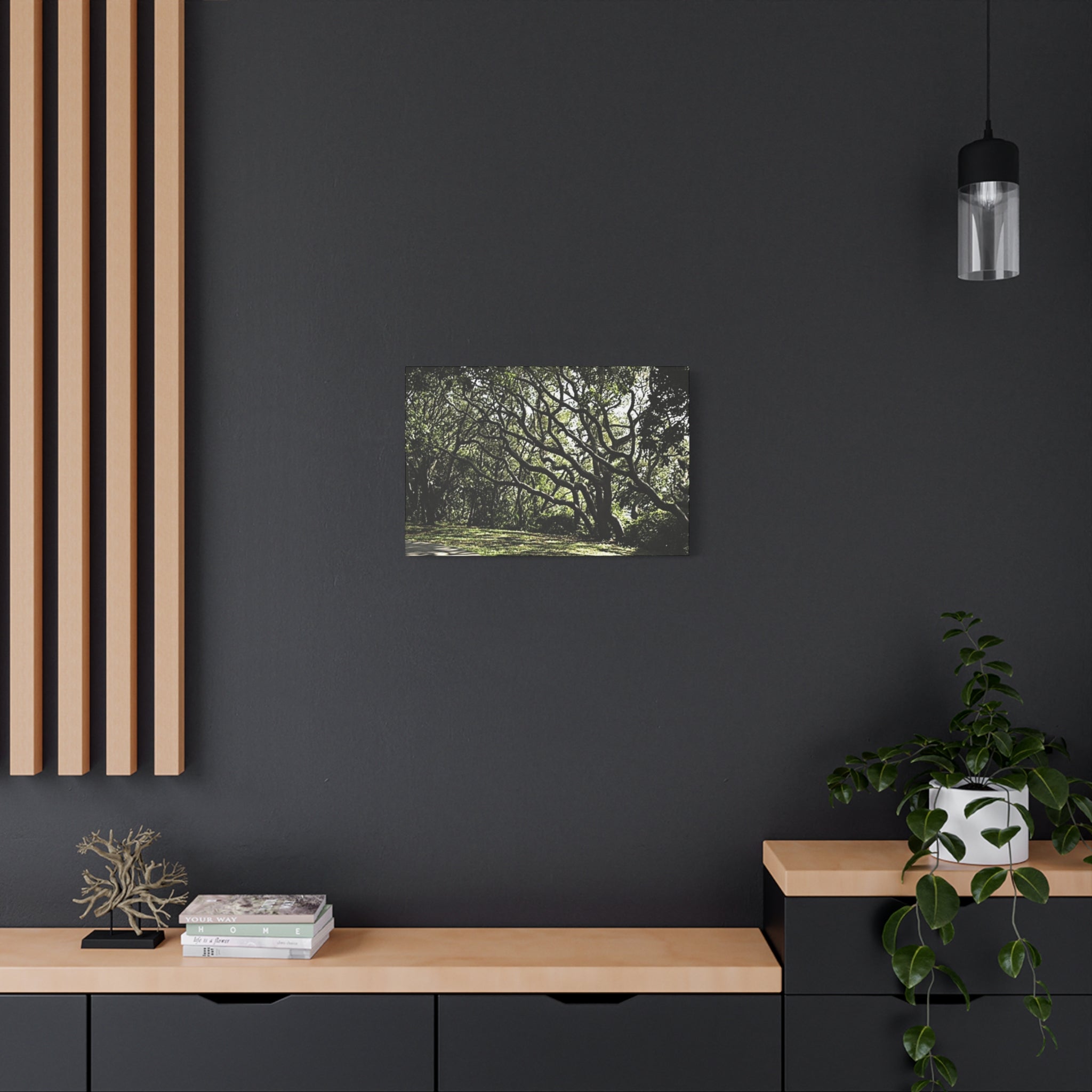Oak Tree Canopy Matte Canvas Print — Stretched Wall Art