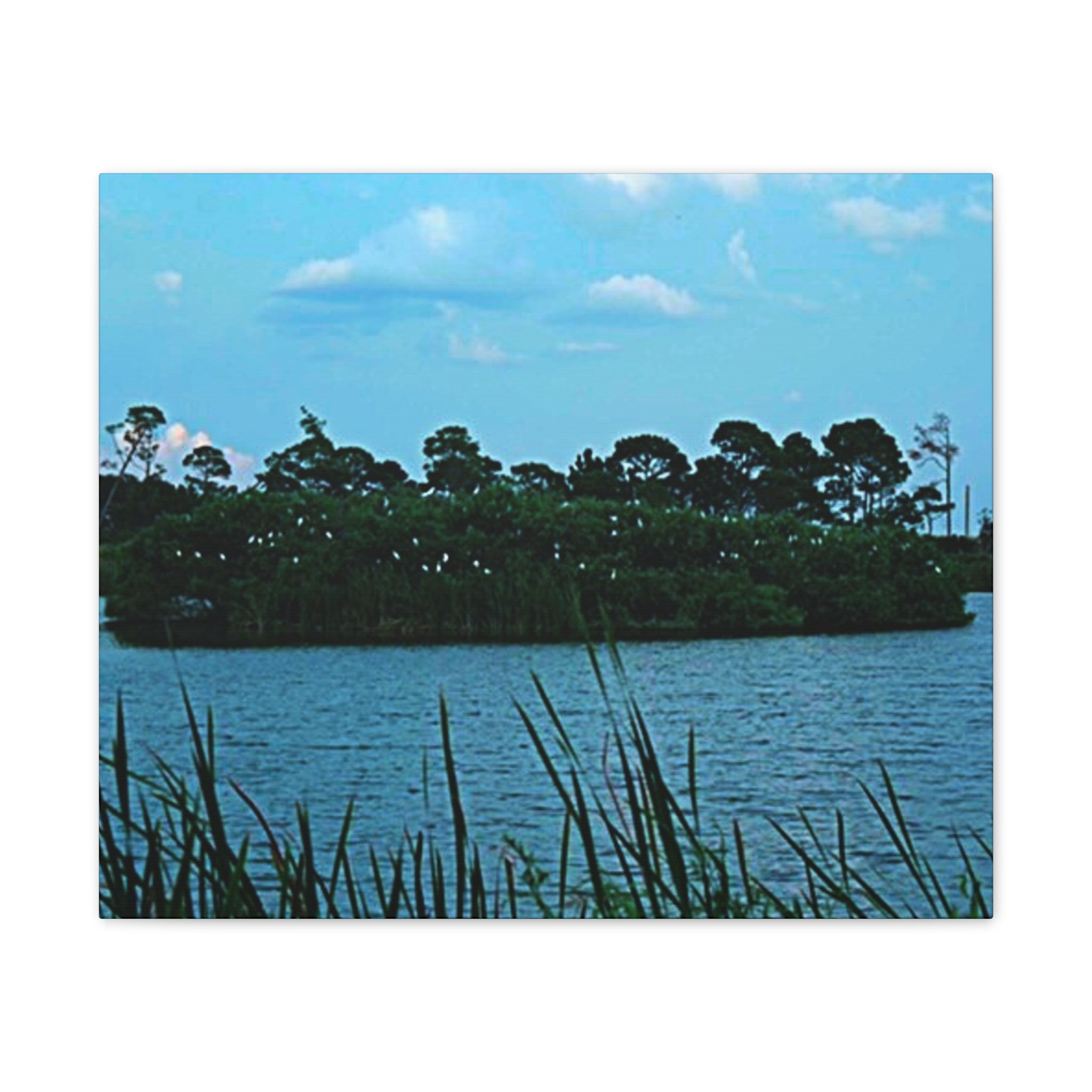 Seaside Marshscape Canvas Print — Tranquil Blue Wetland Wall Art