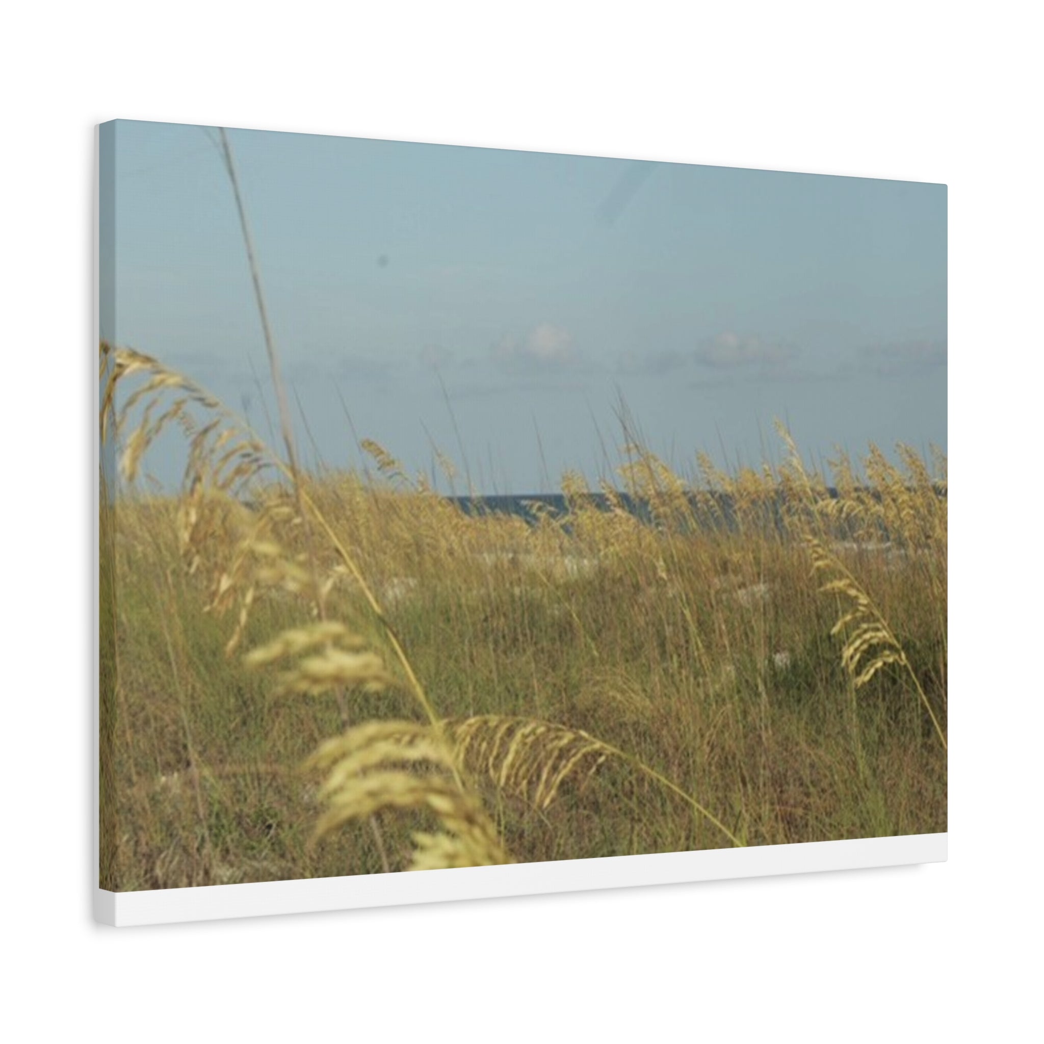 Coastal Sea Oats Canvas Wall Art – Beach Landscape Matte Stretched Canvas