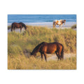 Wild Horses on Beach Canvas Print — Coastal Equine Wall Art