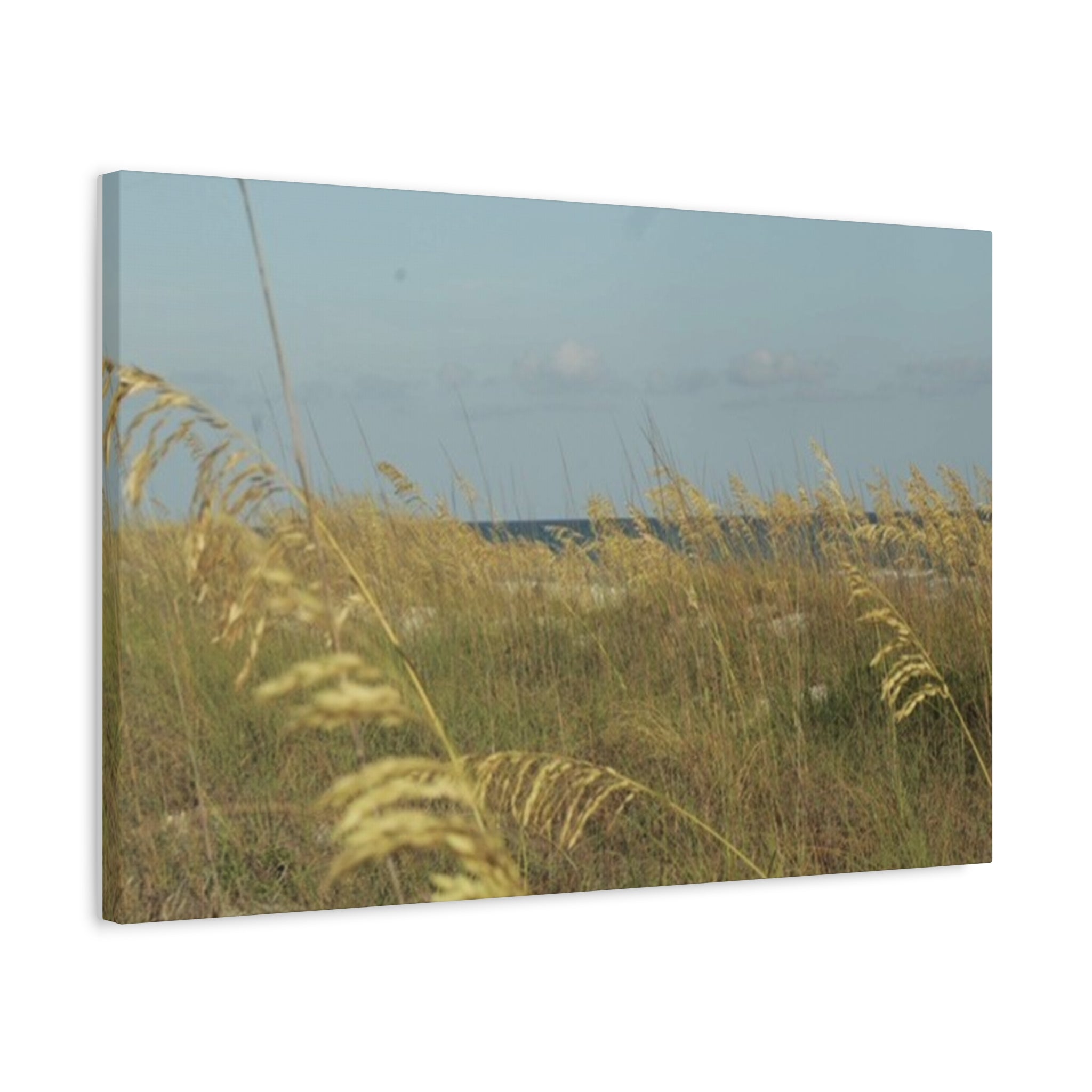 Coastal Sea Oats Canvas Wall Art – Beach Landscape Matte Stretched Canvas
