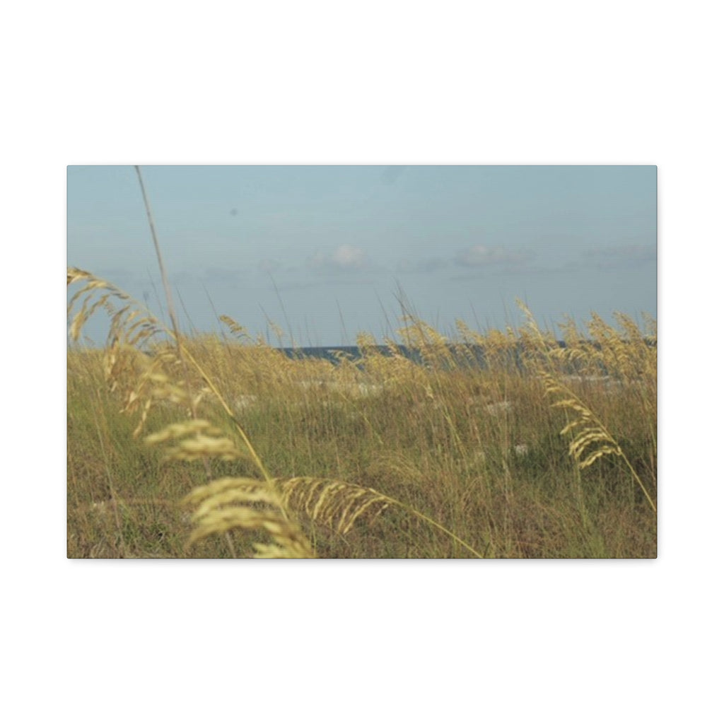 Coastal Sea Oats Canvas Wall Art – Beach Landscape Matte Stretched Canvas