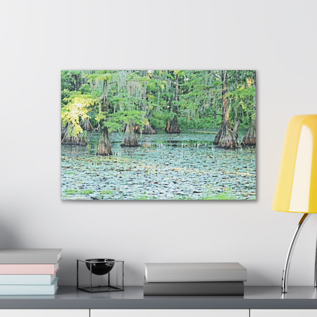 Cypress Swamp Canvas Print – Scenic Louisiana Bayou Wall Art, Stretched 0.75"