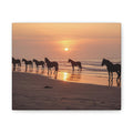 Wild Horses at Sunset Canvas Wall Art — Beach Sunrise Photography Print